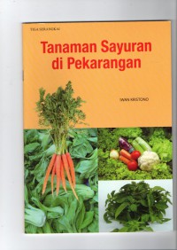 Tanaman Sayuran di Pekarangan