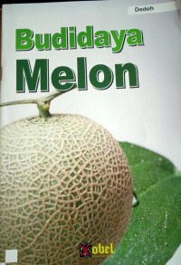Budidaya Melon