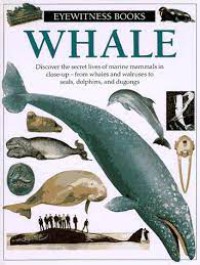 Whale : Discover The Amazing World Of Marine Mammals - From Whales and Walruse to Seal dolphins and Dugongs