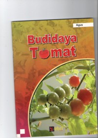 Budidaya Tomat